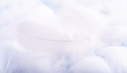 Abstract, elegant fluffy feathers. Three-dimensional background in shades of blue.