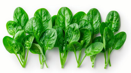 a bunch of crisp green spinach leaves against a white background, great for promoting healthy eating