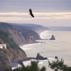 Eagle soaring over subtle coastal cliffs