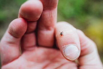 A tick crawls on a man's finger, a dangerous little insect, a red tick ass.