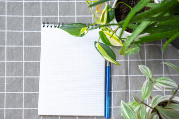 An empty mock up notebook with a pen on a table with home potted plants. Recording recommendations...