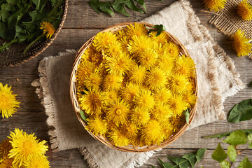Yellow dandelion flowers in a wicker basket on a table. Herbal medicine.
