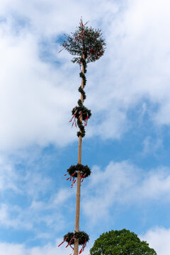 "Maibaum" maytree in Austria - rural tradition