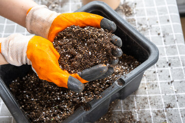 Ingredients for the soil of home potted plants, peat, earth, sand, perlite, vermiculite, coconut. A...