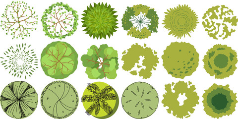 png trees top view, tree plans, graphic style, architectural plants, green, PNG bundle, vector clipart