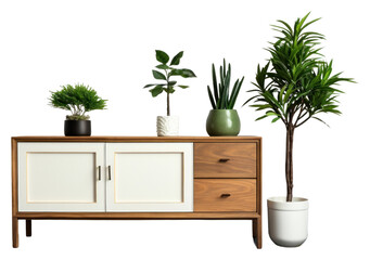 PNG  Houseplants furniture sideboard cabinet houseplant vase leaf.