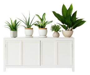 PNG  Houseplants furniture sideboard cabinet houseplant vase leaf.