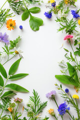 Naklejka premium Frame of wildflowers and green leaves. Ready to use card, template for invitation, season greeting, birthday etc. Blank space for text. 