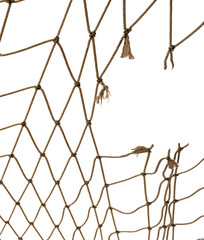 Torn Football or tennis net. Rope mesh on a white background close-up
