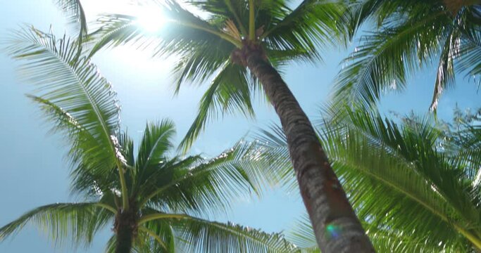 Woman in bikini relax in lotus pose under palm tree on tropical Boracay island. Long hair brunette enjoy beautiful ocean scene with white sand and turquoise water enjoying the sun and ocean breeze.