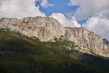 Fototapeta premium Mountains and pine forests landscape