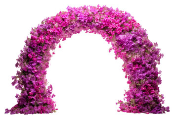 PNG Arch flower purple plant.