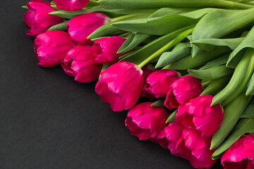 bright pink tulips lie on a black background. floral background for postcard	
