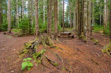 Picnic Table in Park with mountains at summer day in Vancouver, Canada, North America.