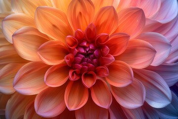 Fototapeta premium A stunning close-up photograph showcasing the intricate details and vibrant colors of a dahlia flower in full bloom, highli