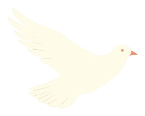 Fototapeta premium PNG Illustration of a simple dove animal bird cockatoo.