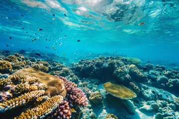 Underwater view, Blue ocean coral reef , Ai generated