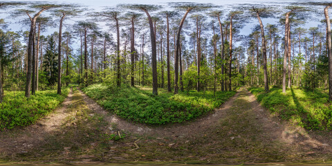 full spherical hdri 360 panorama on on gravel pedestrian footpath in pinery forest in equirectangular projection. VR AR content