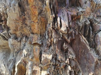 Geodesy texture photo. Texture of natural rocks of earth and stone. design blank