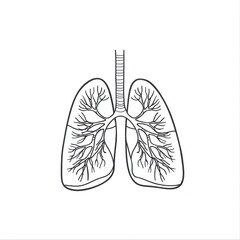 Simple linear drawing of human lungs on a plain white background.