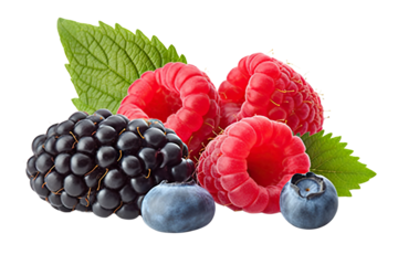 Juicy Wild Berry Mix with Raspberry, Blueberries, and Blackberries - Fresh and Vibrant Berries on transparent background