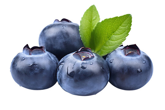 Juicy blueberries bursting with flavor on transparent background.