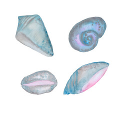 different types of shells in blue violet color set watercolor illustration isolated on white background base for design of tableware fabrics notepads and cards.