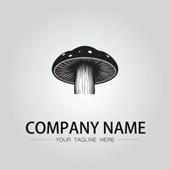 Mushroom logo company design vector image isolated on the white background