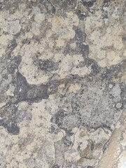 Gray concrete texture. Gray texture background and blank