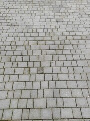 Cobblestone texture. Gray paving stones outside close-up. Design blank