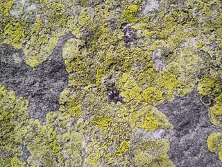 Photo of natural stone texture. Texture of the wall made of natural stone