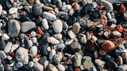 A mound of rocks, each boasting a unique blend of colors and sizes, epitomizing the allure of...