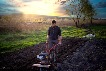 organic farming man ploughs the ground at sunset with a tiller preparing the soil for sowing