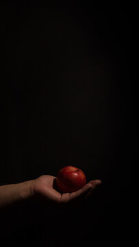 photograph of hand holding an apple on black background