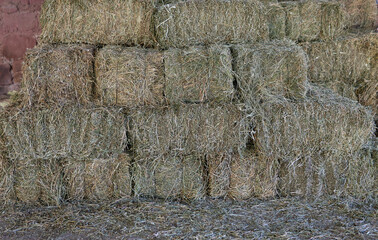 bales of dry grass piled up in a corral in Argentina. bales of dry grass piled up in a corral in...
