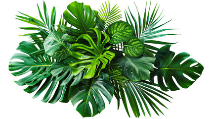 Vibrant tropical leaves isolated on white, showcasing lush greenery and natural textures.