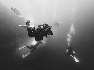 Scuba Divers Underwater Diving at Lake Attersee at Hinkelsteine in Monochrome Black and White