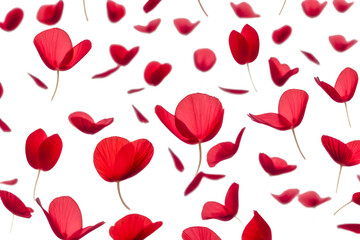 red petals flying floating isolated on white or transparent background 
