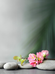 Spa stones with palm branch and flowers on grey background.
