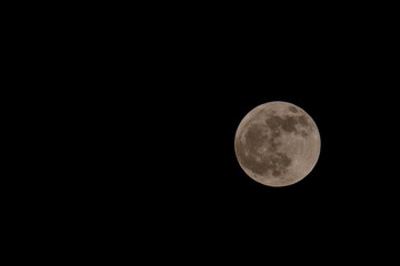 Obraz premium Full moon in the night