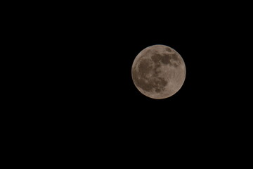 Obraz premium Full moon in the night