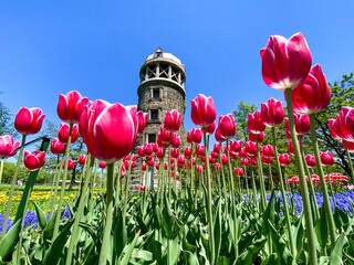 春の百合が原公園（北海道札幌市北区）