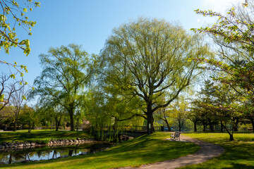 5月の中島公園（北海道札幌市中央区）