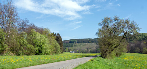 blooming flowers and trees with distant farm in valley near winterberg in sauerland