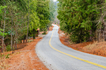 Obraz premium Mountain road with forest foreground in Vancouver, Canada, North America. Day time.
