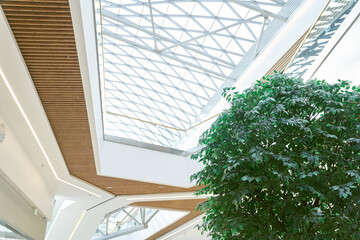 The ceiling of the building is made of wooden beams and transparent glass. Natural lighting of an...