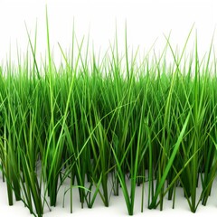 A Field Of Tall Green Grass Is Rendered In 3D Against A Transparent White Background, Creating A Serene Landscape, Illustrations Images