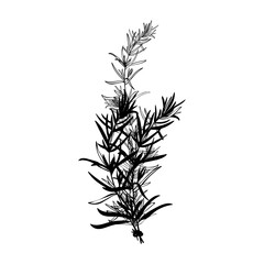 Practical Magic Svg, Salt Rosemary Lavender Love Svg, Sally Quote Svg, Practical Magic