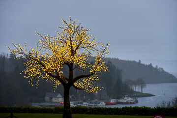 lonely led light tree lake view