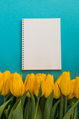 place for text or inscriptions. greeting card, banner, fresh yellow tulips on a blue background	
